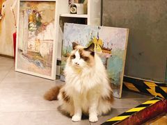 -咖法森林·咖啡  酒吧(天河店)