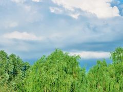 -马家湾湿地公园