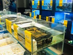 水产区-蓝鲸(国浩路店)