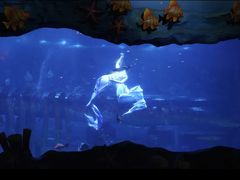 -西安曲江海洋极地公园