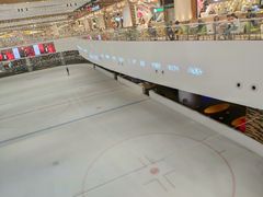 -TheRink大零溜冰场(IFS国金中心店)