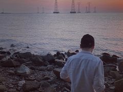 -宝安西湾红树林湿地公园