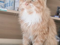 -宠福鑫康馨动物医院·骨科·眼科