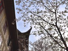 -武汉大学-樱园
