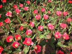 -长春公园(普阳街道)