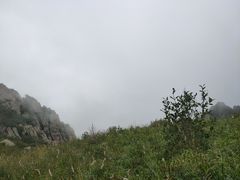 -白草畔自然风景区