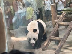 -栾川竹海野生动物园