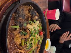 -老板恋上鱼(振华商厦店)