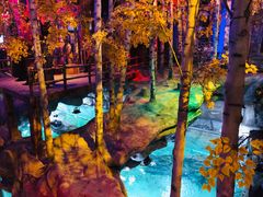 -华夏文旅海洋公园