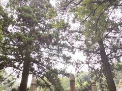 -白鹿洞书院