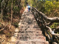 -梧桐山风景名胜区