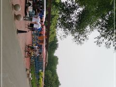 -西青郊野公园