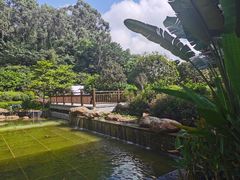 -南宁荔园维景国际酒店·荔园中餐厅
