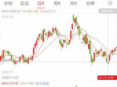 -金豆角砂锅焖面(安贞店)