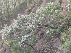 -终南山南五台景区