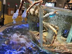 -盒马鲜生(悠方店)