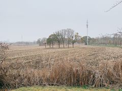 -广富林郊野公园