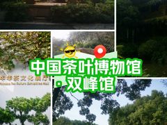 -中国茶叶博物馆(双峰馆区)