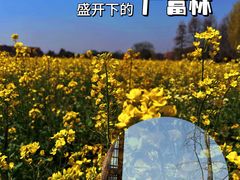 -广富林郊野公园