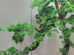 -大鹏饭店·金陵家宴(奥体中心店)