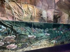 -波塞冬海底世界