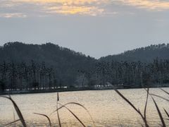 -东湖落雁景区