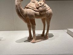 -深圳博物馆(古代艺术馆)
