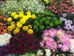 -双季花艺园艺市场(浦东店)