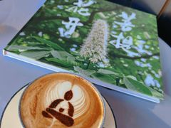 -菩提树下茶咖鼓捣