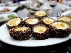 海胆蒸蛋-蚝专家(北滘店)