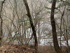 -白川乡与五箇山的合掌构造村落