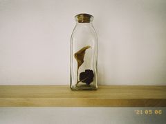 -大小咖啡 BigSmallCoffee(麦子店)