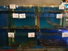 水产区-隆喜元鱼汤包·海鲜(中联广场店)