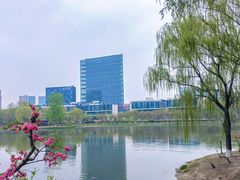 -大兴滨河森林公园
