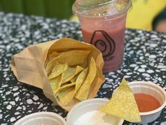 -油梨树AVOCADO TREE(顺义新国展店)