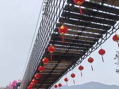 -天适樱花悠乐园