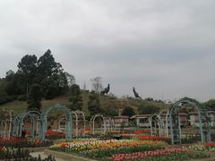 -都江堰玫瑰花溪谷