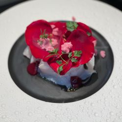 酸橘汁腌黄狮鱼-The Anchor
