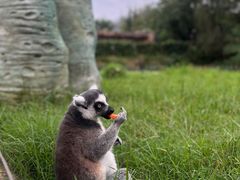 -杭州野生动物世界