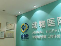 -美迦爱-动物医院·骨科·牙科·夜诊(朝阳路诊疗中心)