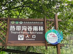 -西双版纳原始森林公园