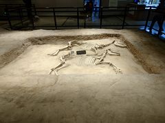 -洛阳周王城天子驾六博物馆