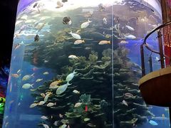 -泉城欧乐堡海洋极地世界