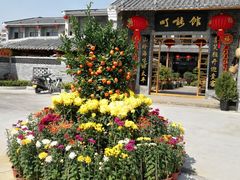 -顺德了能馆(虎门店)