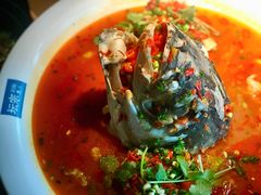 -坛宗剁椒鱼头(河西王府井店)