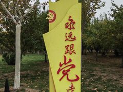 -水西公园