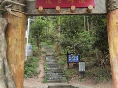 -长沙黑麋峰国家森林公园