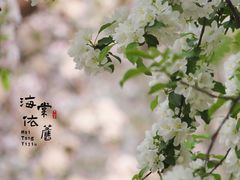 -海棠花溪(元大都城垣遗址公园)