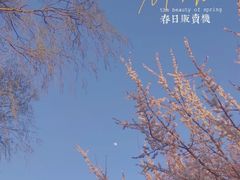 -哈尔滨师范大学(松北校区)