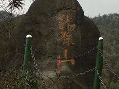 -南山植物园